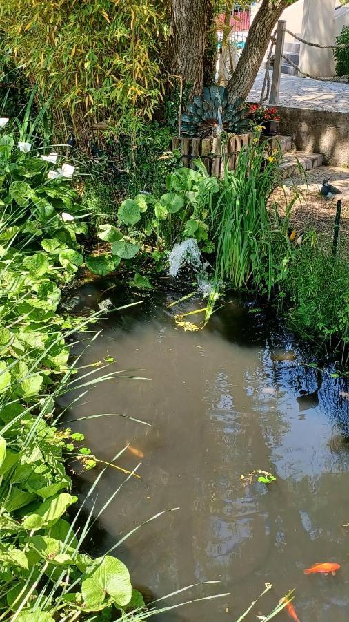 La Pause Cauchoise Apartment Vittefleur Ngoại thất bức ảnh